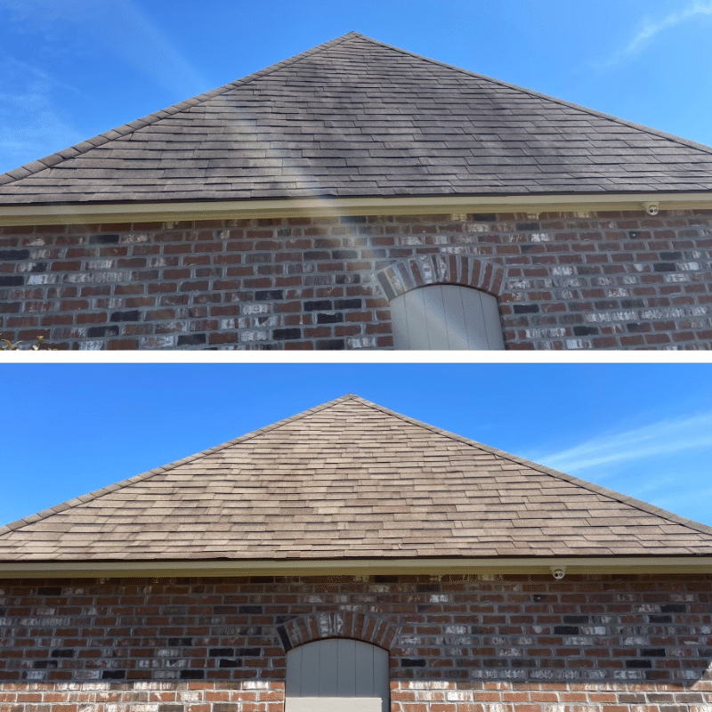 Roof Cleaning