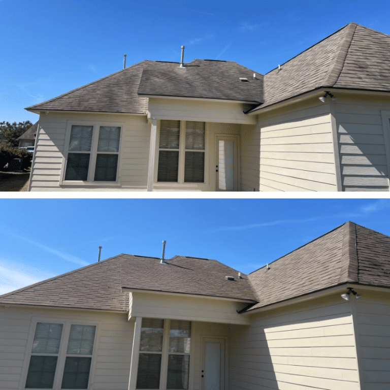 Roof Cleaning in Metairie, La