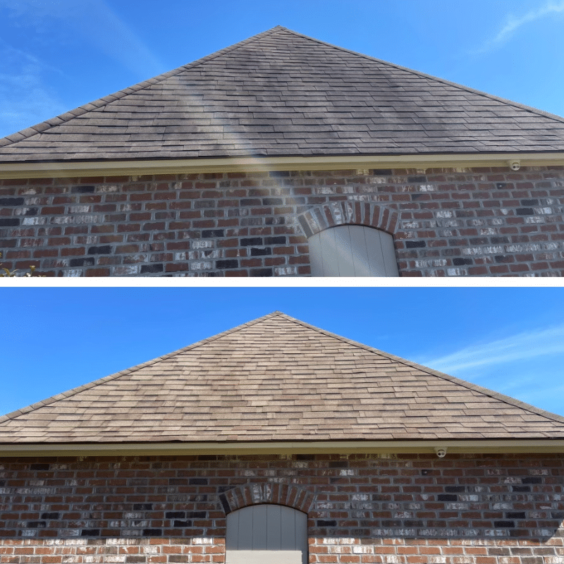 Roof Cleaning